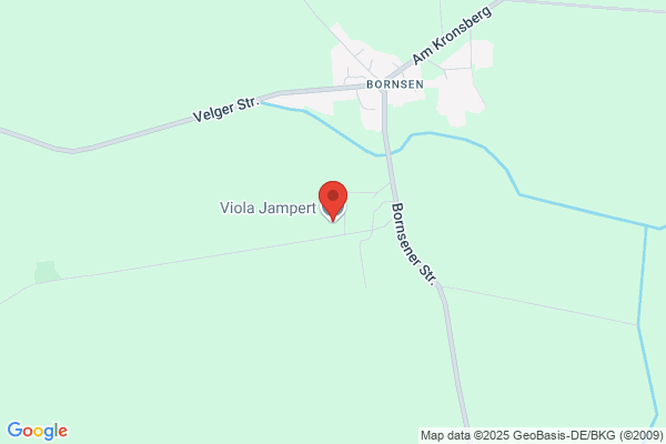 Viola Jampert
