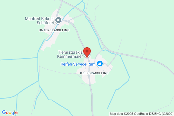 Kammermeier