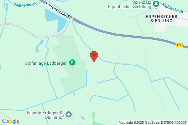 Baumpflege-Astwerk