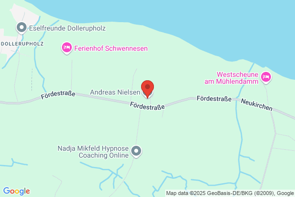 Andreas Nielsen, Andrea Nielsen