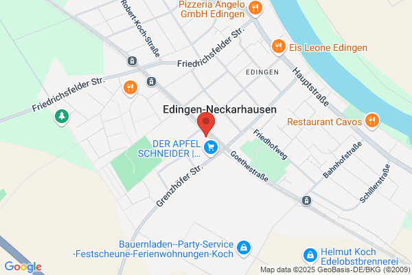 Georg Schneider