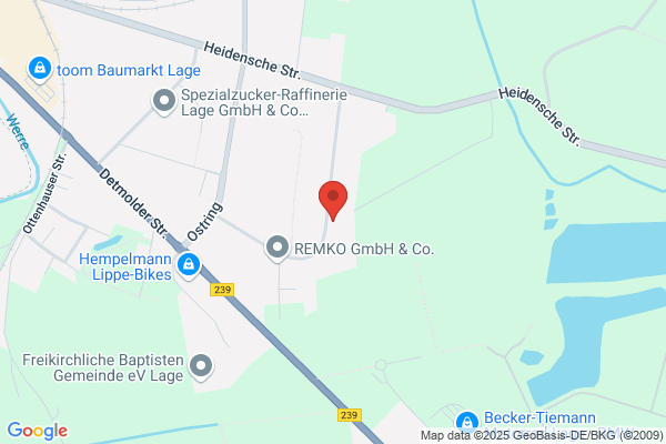 Diser Waldemar Forklift Service