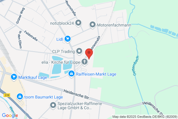 Riesenberg, Jens, GmbH & Co. KG