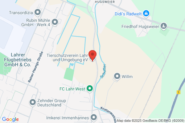 Hunde-Abenteuer-Camp