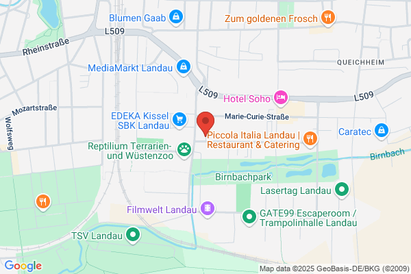 Taxi - Blitz Landau