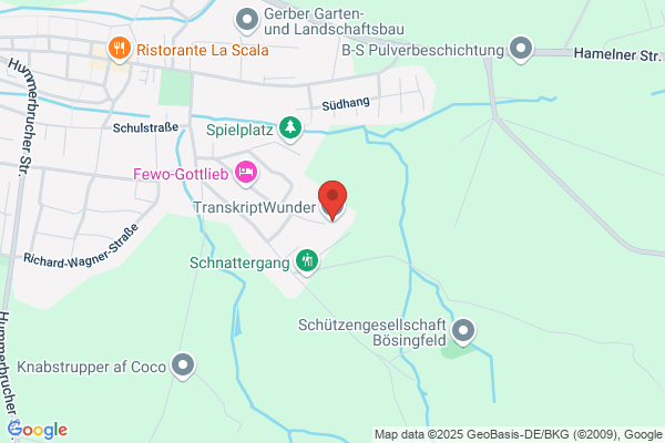 Transkriptionsservice