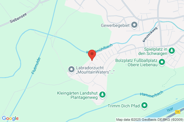 Boxerzwinger v.Nebelwald