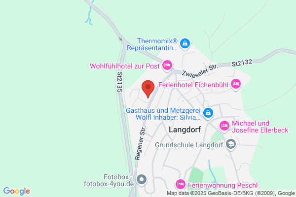 Stein Biller Langdorf