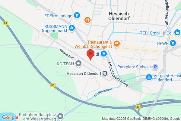 Elektro-Schulz