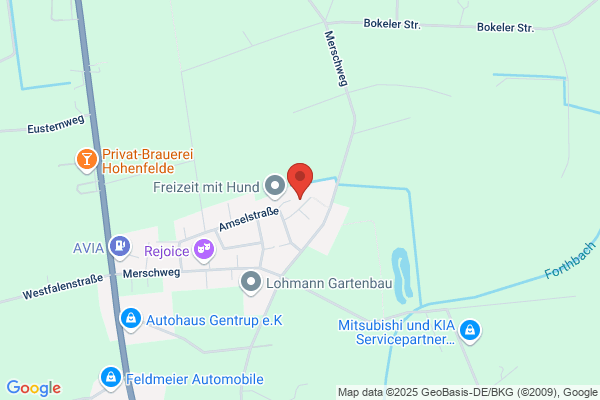 Taxi Hilz
