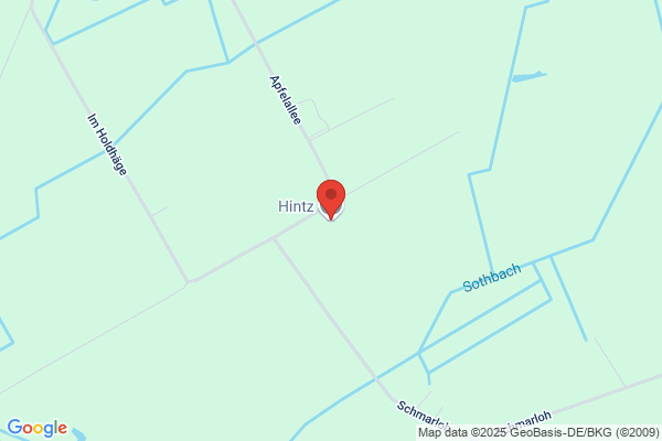 Hintz
