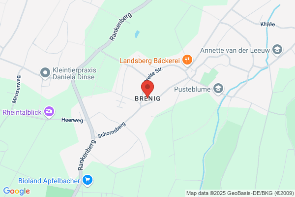Brünig