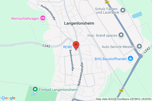 Karl Hanß