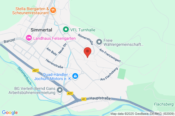 Friseur Chameleon