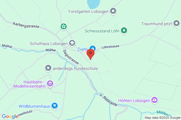 ZSZ Zimmerei Sicherheitsgerüste und Ziegelbedachungen GmbH