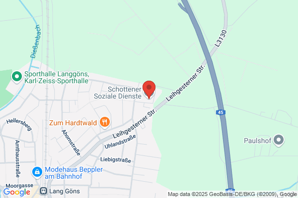 Gemeinützige Schottener, Reha- u. Betreuungseinrichtung GmbH