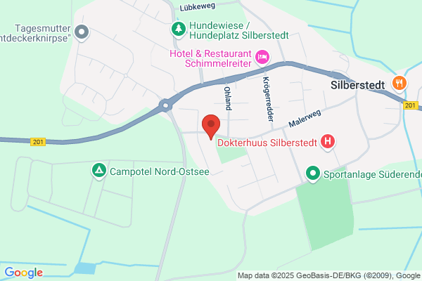 Amt Silberstedt