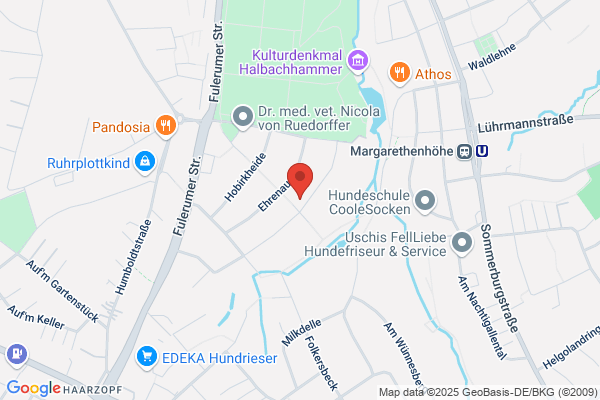 Institut für Service SERVE-IN Michael Wingenfeld