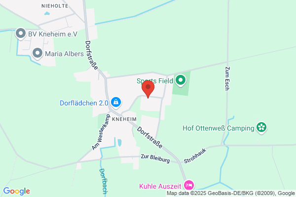 Ballspielverein Kneheim
