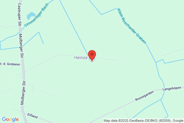 Heinze, Gerd Beratung