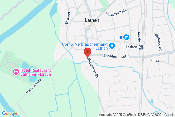 Hans Fahrservice Thesing