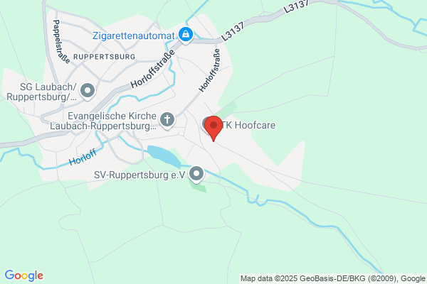 Arnfried Ewe