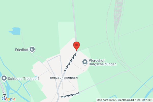 Agrar Burgscheidungen e.G.