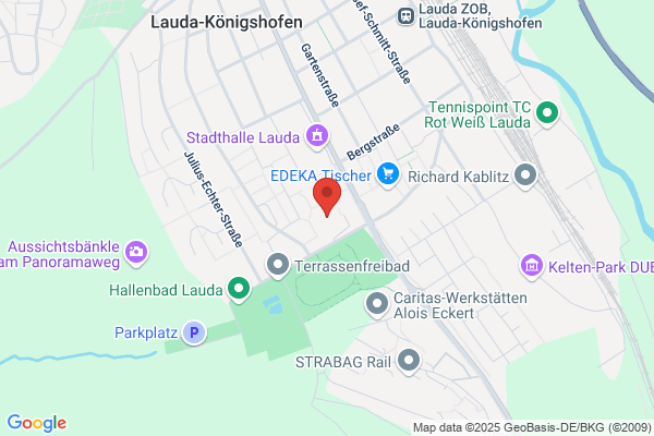 Martin-Schleyer-Gymnasium