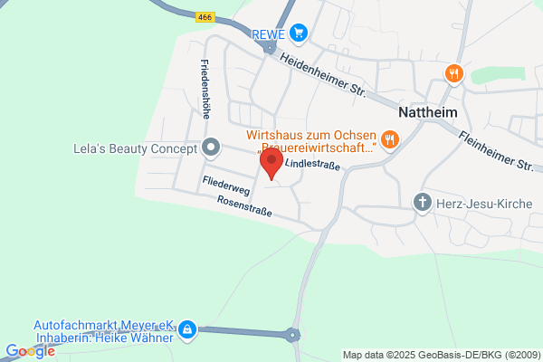 Alarmanlagen, Absicherungen aller Art, Video,Notrufzentrale Remus Tag+Nacht e.K.