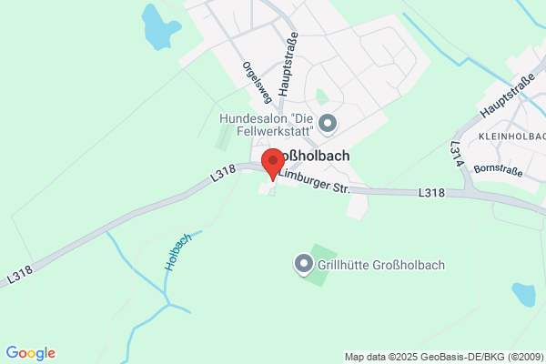 SASS Dienstleistungsgesell- schaft f. Mobilien-L