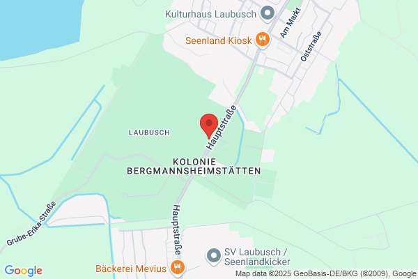 Stiftung IBS