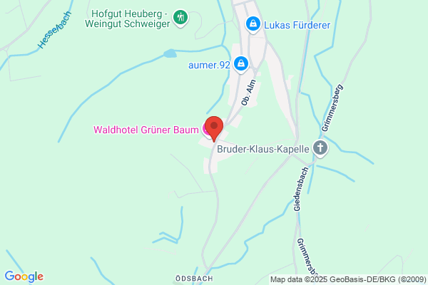 Waldhotel Grüner Baum