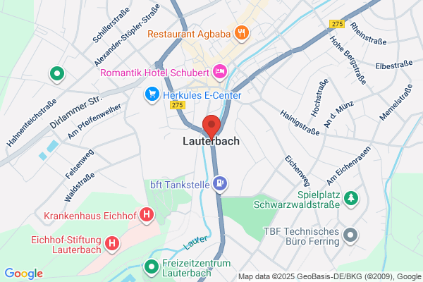 TK Home Solutions Treppenlift Lauterbach - Alice Claußen
