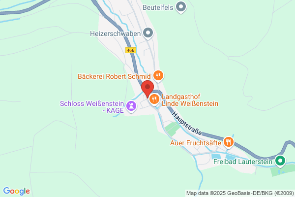 Schielein