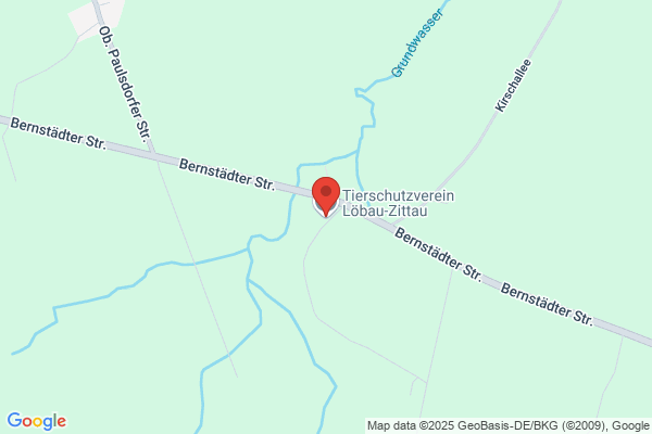 Tierschutzverein e.V.