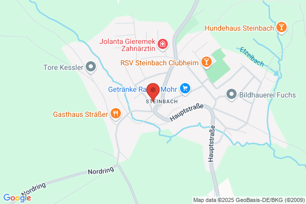 Pestalozzischule Steinbach