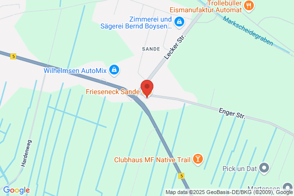 Frieseneck Sande