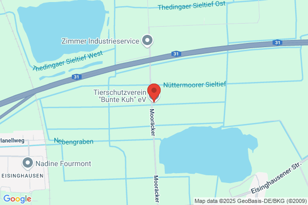 Tierschutzverein "Bunte Kuh" e.V.