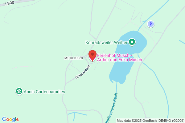 Schneider
