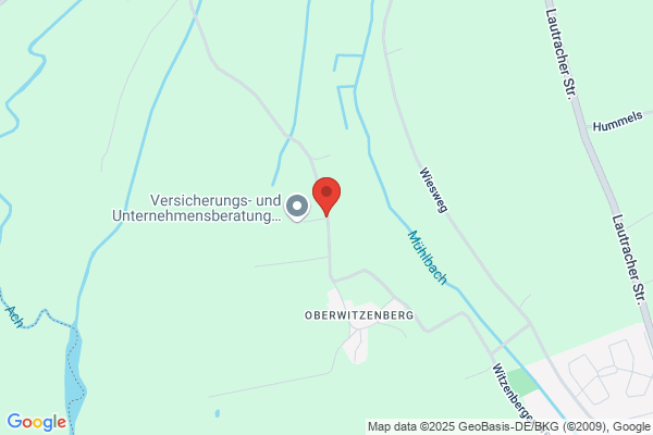 VUB Herz
