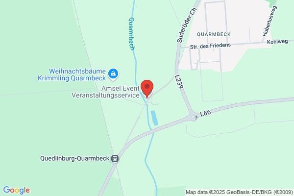 Amsel Net - Existenzgründerservice