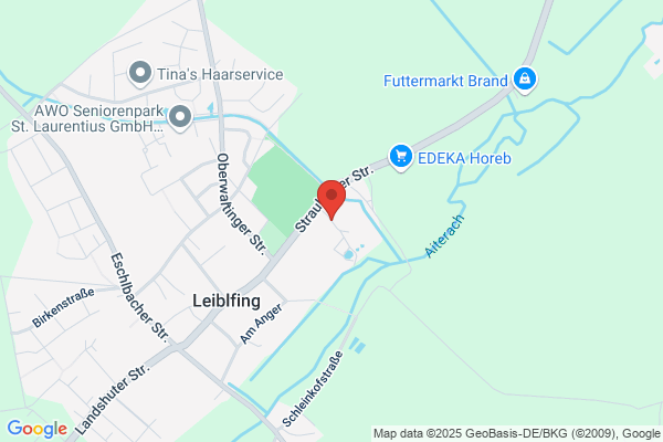 Leiblfing