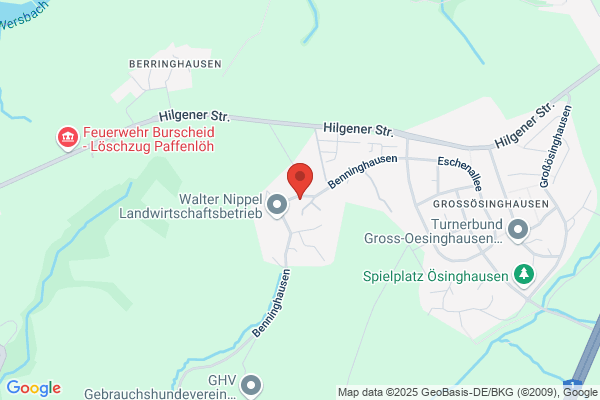 dein-Putzengel.de