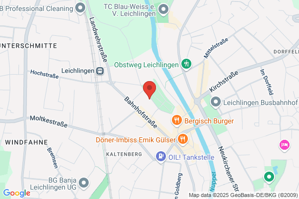 Blumen Spriestersbach