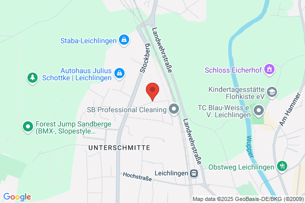 Ing. Hans Schuhmann