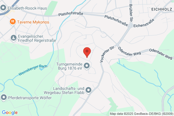 Tiere in Not Solingen e.V.